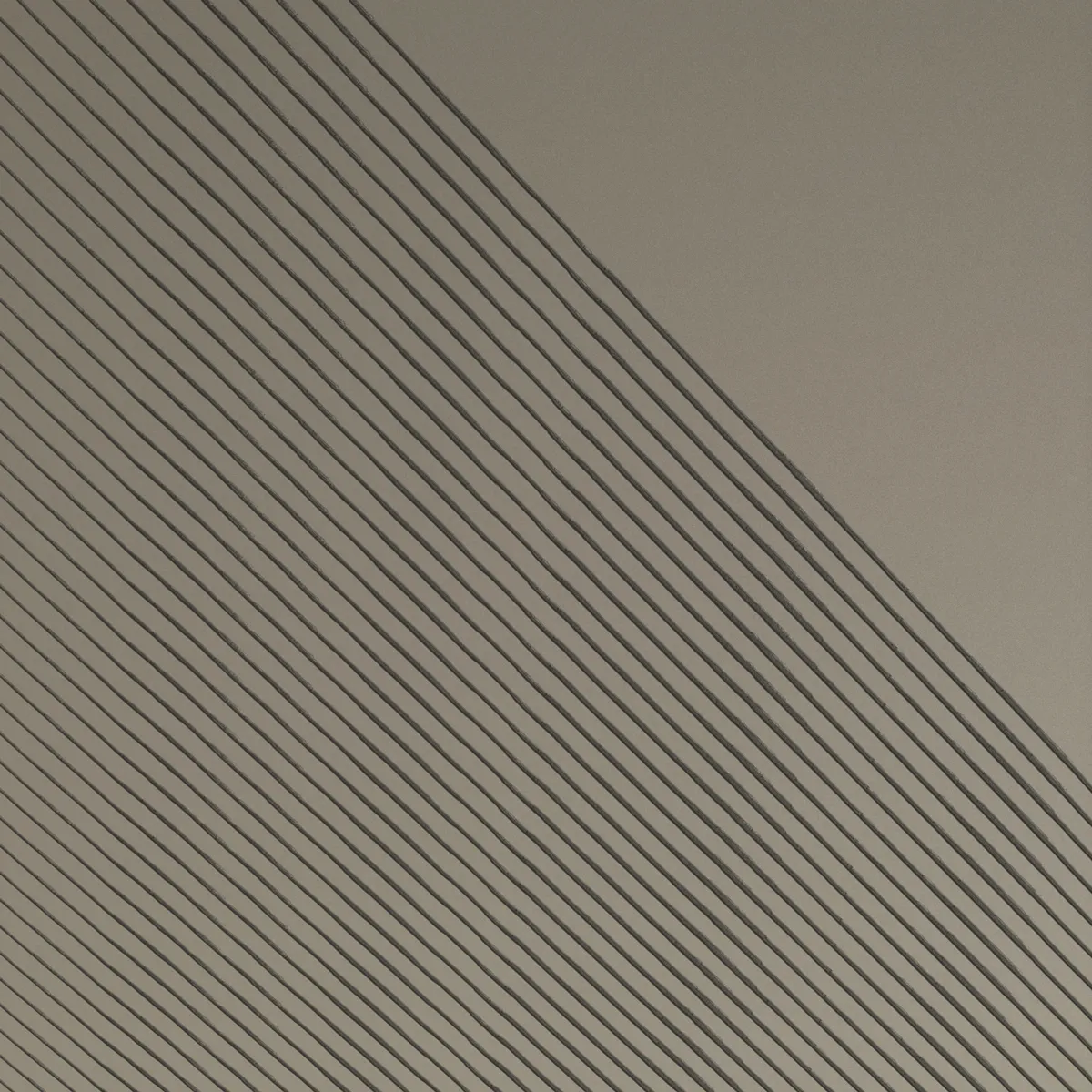 L1 Talpa Carbon